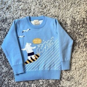 Wellkids baby boy blue sweater
